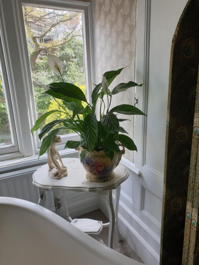 كارديف Judy'S B&B Private Home المظهر الخارجي الصورة